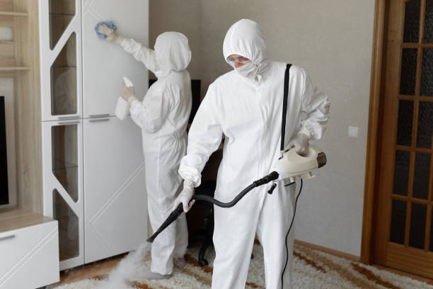 Affordable Infectious Disease Decontamination solutions in Harriman, TN